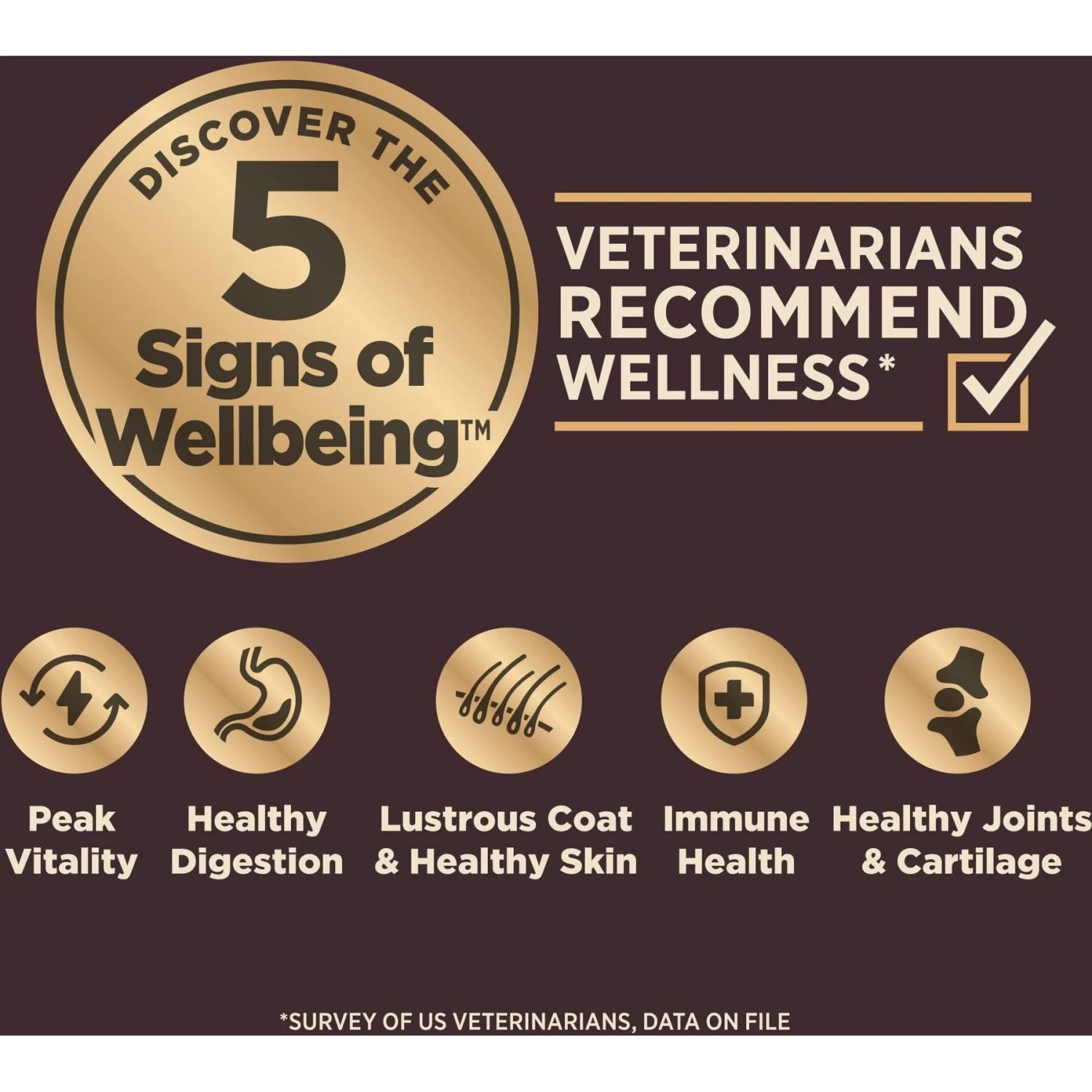 Wellness CORE RawRev Grain-Free Puppy Recipe With Freeze-Dried Turkey Dry Dog Food 5 Wellness CORE RawRev Grain-Free Puppy Recipe With Freeze-Dried Turkey Dry Dog Food - Image 5