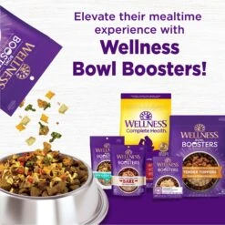 Wellness CORE Bowl Boosters Bare Turkey Freeze-Dried Dog Food Mixer Or Topper 12 Wellness CORE Bowl Boosters Bare Turkey Freeze-Dried Dog Food Mixer Or Topper -Pet Wellness 145472 PT5. AC SS1800 V1703709199