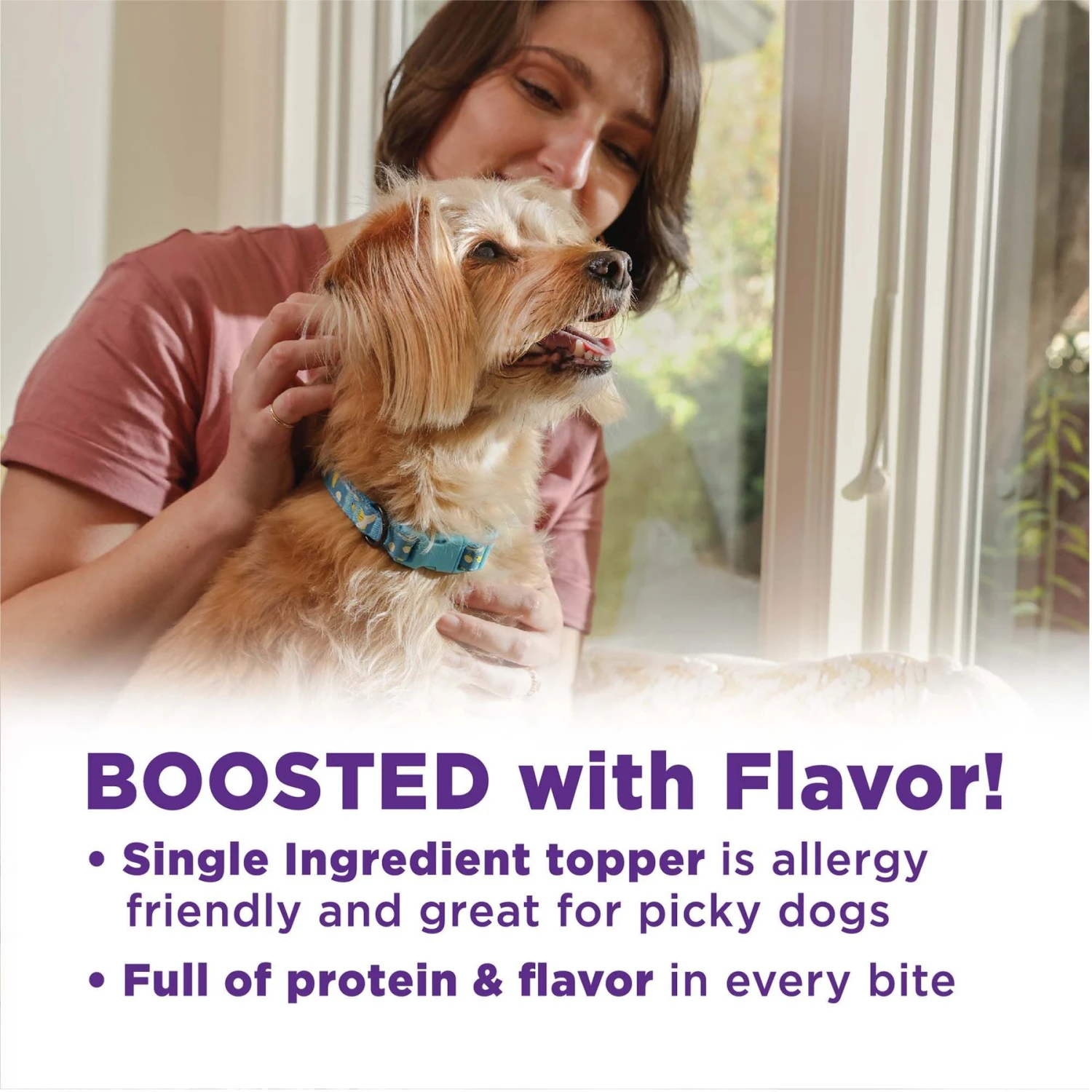 Wellness CORE Bowl Boosters Bare Beef Freeze-Dried Dog Food Mixer Or Topper 4 Wellness CORE Bowl Boosters Bare Beef Freeze-Dried Dog Food Mixer Or Topper - Image 4