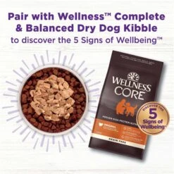 Wellness CORE Bowl Boosters Bare Beef Freeze-Dried Dog Food Mixer Or Topper 12 Wellness CORE Bowl Boosters Bare Beef Freeze-Dried Dog Food Mixer Or Topper -Pet Wellness 145474 PT4. AC SS1800 V1703709380
