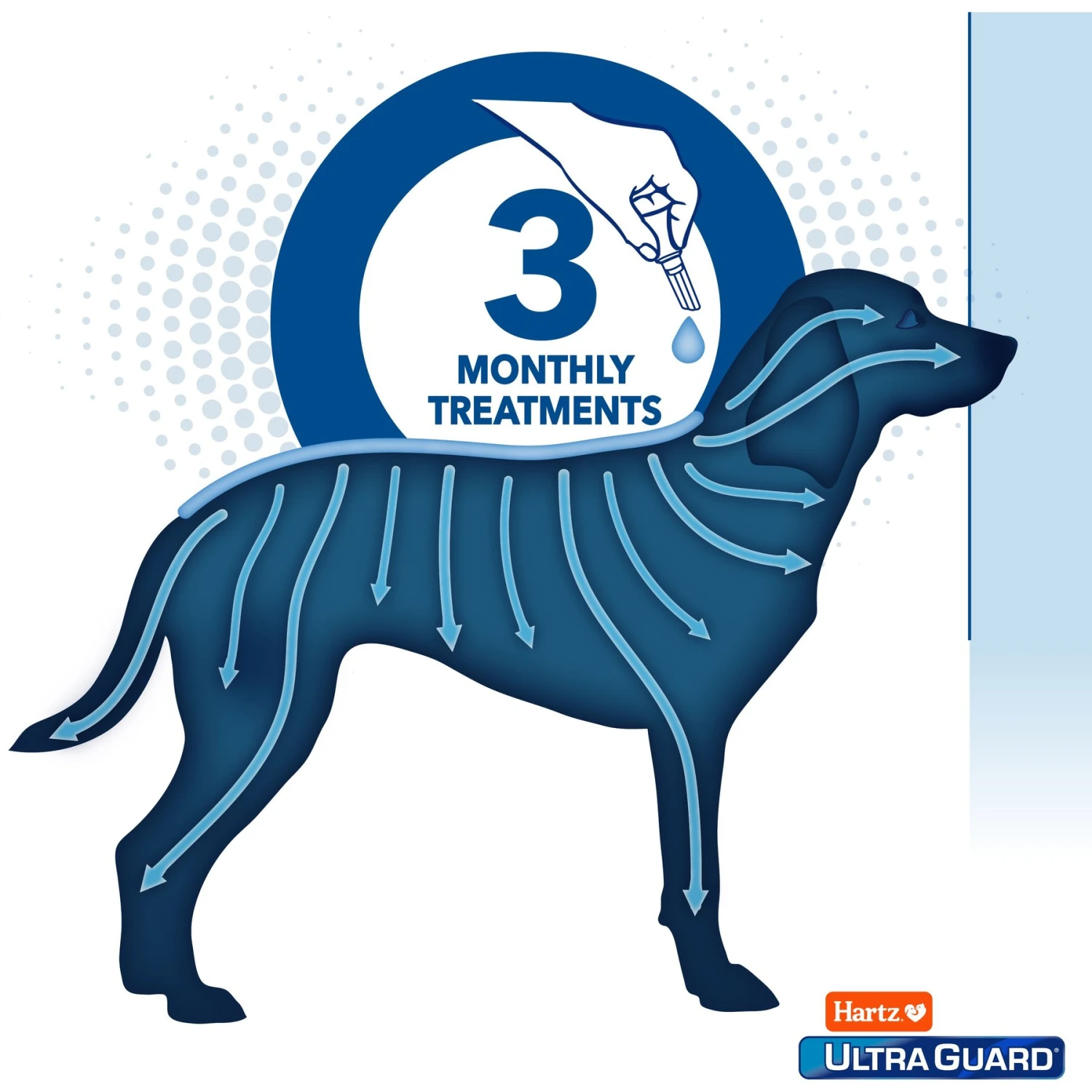 Hartz UltraGuard Dual Action Flea & Tick Spot Treatment For Dogs, 31-60 Lbs 5 Hartz UltraGuard Dual Action Flea & Tick Spot Treatment For Dogs, 31-60 Lbs - Image 5