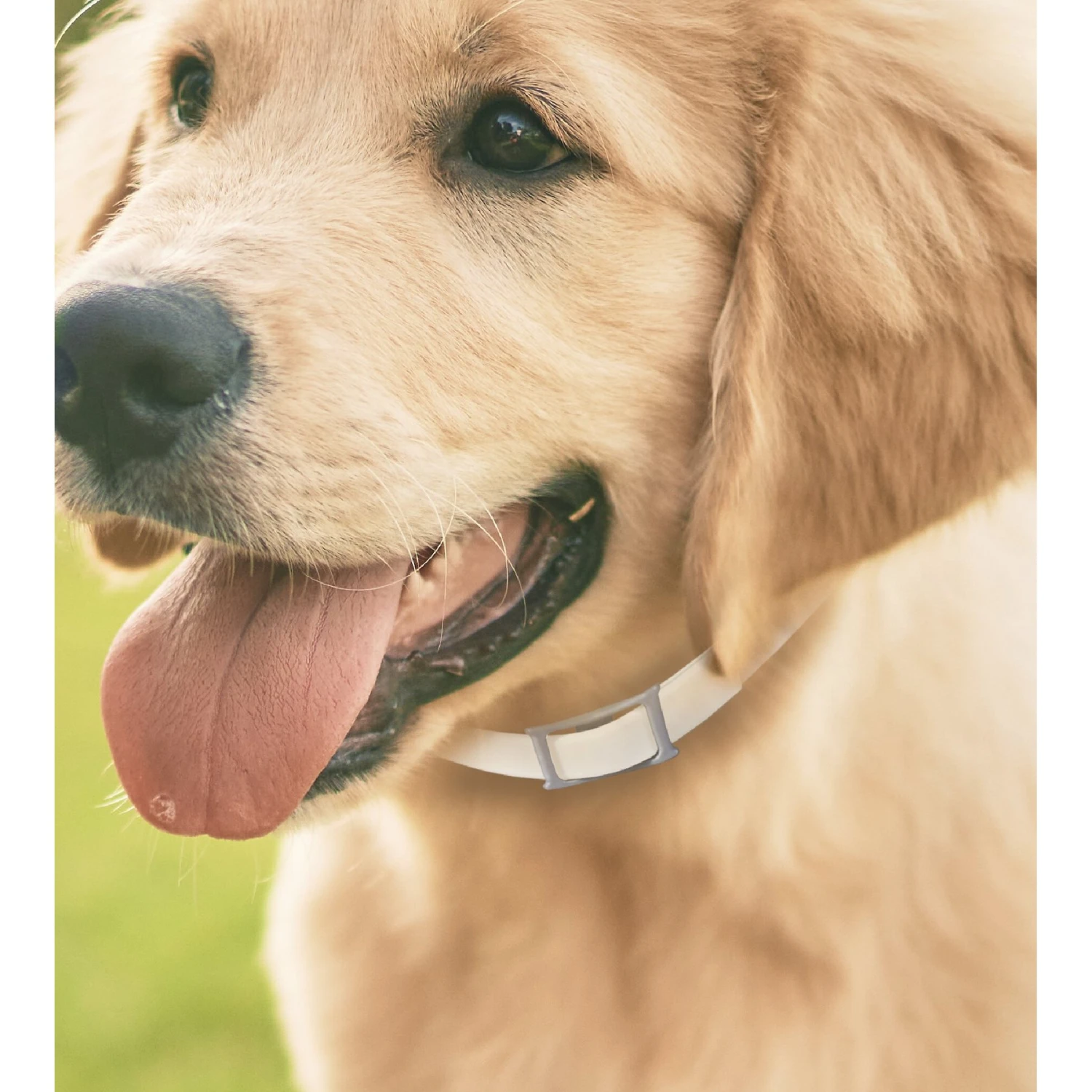 Hartz UltraGuard Pro Reflecting Flea & Tick Collar For Dogs & Puppies 2 Hartz UltraGuard Pro Reflecting Flea & Tick Collar For Dogs & Puppies - Image 2