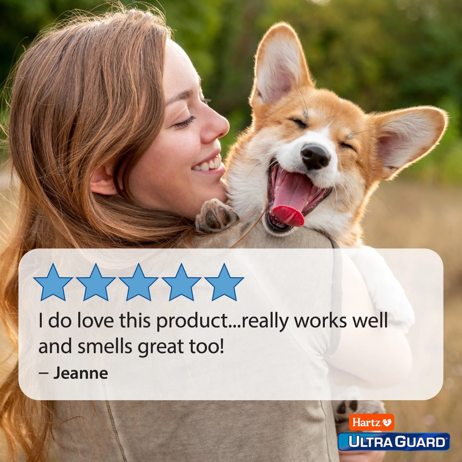 Hartz UltraGuard Plus Flea & Tick Dog Shampoo With Aloe 6 Hartz UltraGuard Plus Flea & Tick Dog Shampoo With Aloe - Image 6