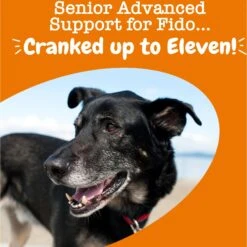 Zesty Paws Senior Advanced 11-in-1 Bites Chicken Flavored Soft Chews Multivitamin For Senior Dogs 12 Zesty Paws Senior Advanced 11-in-1 Bites Chicken Flavored Soft Chews Multivitamin For Senior Dogs -Pet Wellness 147732 PT3. AC SS1800 V1701932471