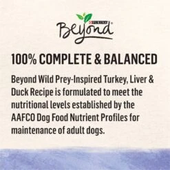 Purina Beyond Wild Prey-Inspired Grain-Free High Protein Turkey, Liver & Duck Pate Recipe Canned Dog Food 14 Purina Beyond Wild Prey-Inspired Grain-Free High Protein Turkey, Liver & Duck Pate Recipe Canned Dog Food -Pet Wellness 148018 PT5. AC SS1800 V1700157834