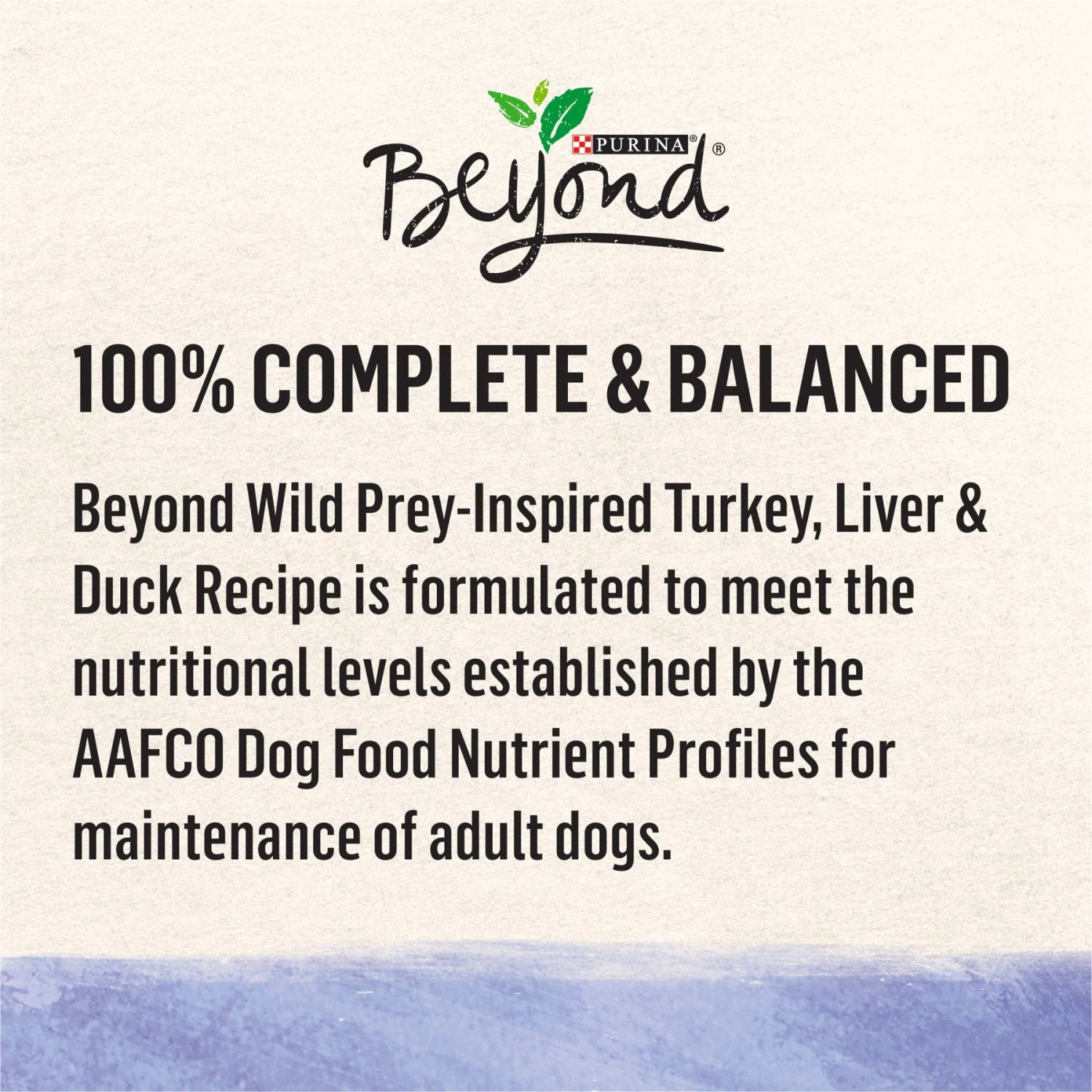 Purina Beyond Wild Prey-Inspired Grain-Free High Protein Turkey, Liver & Duck Pate Recipe Canned Dog Food 6 Purina Beyond Wild Prey-Inspired Grain-Free High Protein Turkey, Liver & Duck Pate Recipe Canned Dog Food - Image 6
