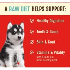 Stella & Chewy's Perfectly Puppy Beef & Salmon Dinner Patties Freeze-Dried Raw Dog Food 5 Stella & Chewy's Perfectly Puppy Beef & Salmon Dinner Patties Freeze-Dried Raw Dog Food -Pet Wellness 148190 PT3. AC SS1800 V1680640376