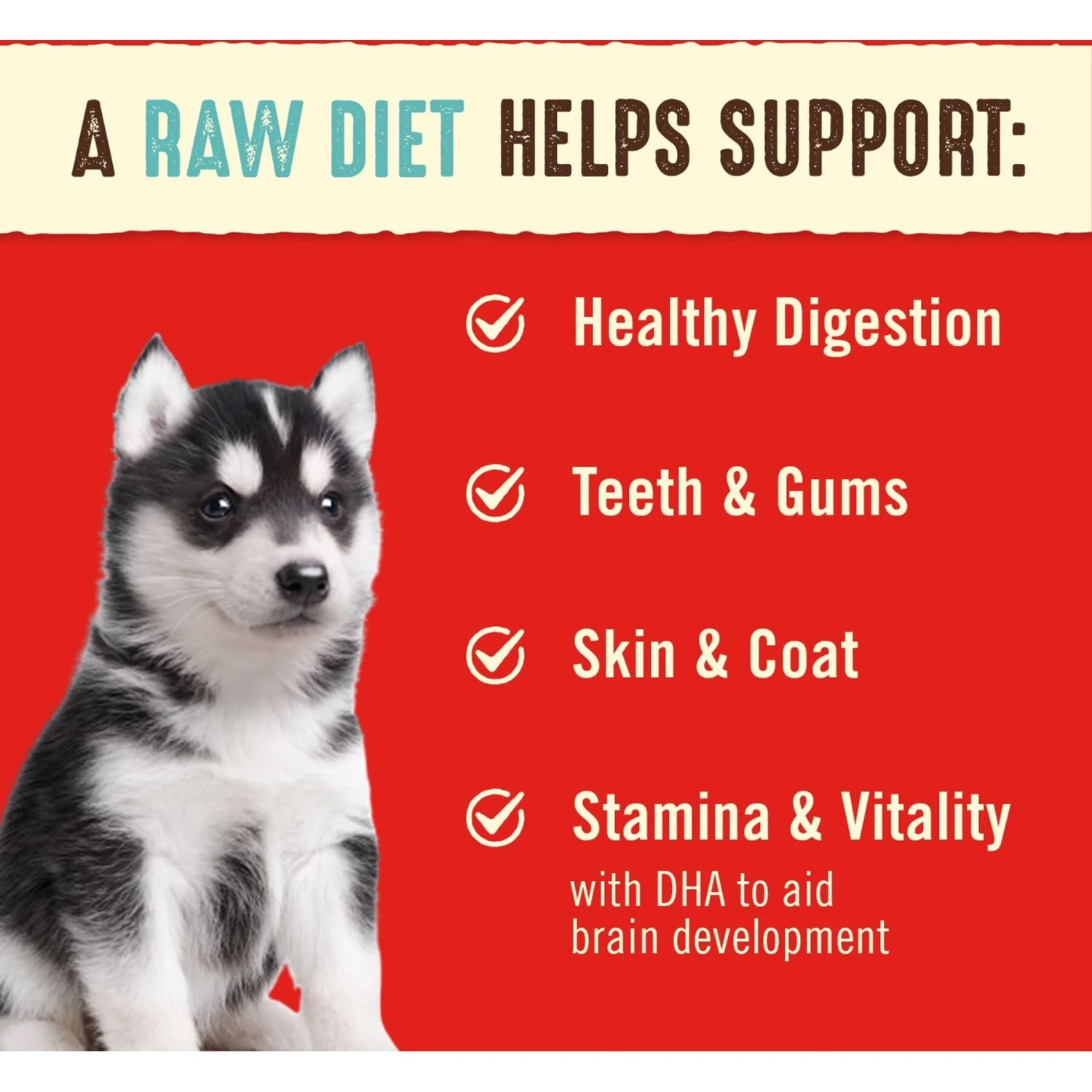 Stella & Chewy's Perfectly Puppy Beef & Salmon Dinner Patties Freeze-Dried Raw Dog Food 3 Stella & Chewy's Perfectly Puppy Beef & Salmon Dinner Patties Freeze-Dried Raw Dog Food - Image 3