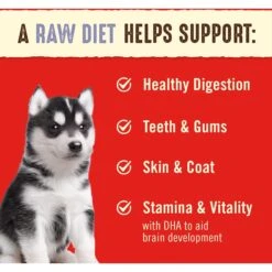 Stella & Chewy's Perfectly Puppy Chicken & Salmon Dinner Patties Freeze-Dried Raw Dog Food -Pet Wellness 148193 PT3. AC SS1800 V1681153304