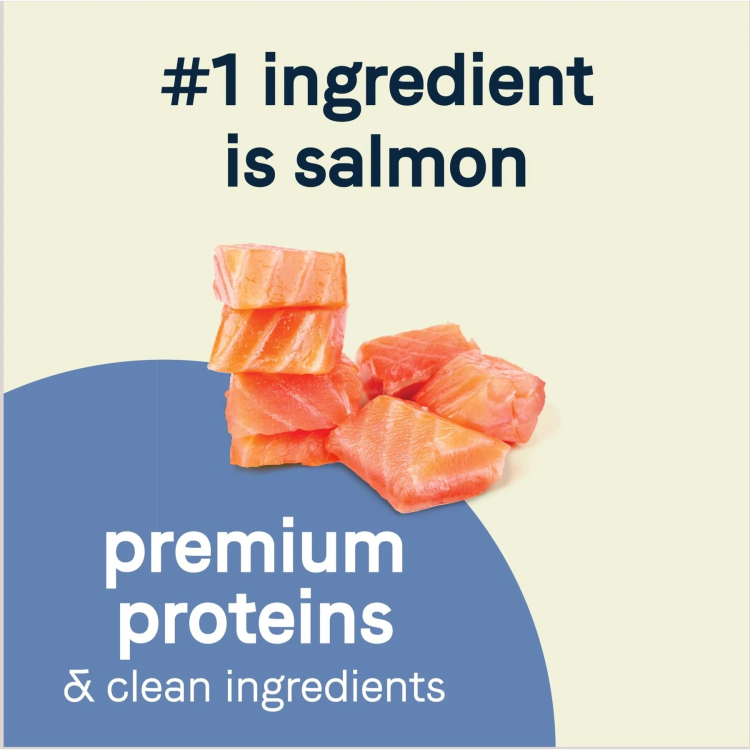 CANIDAE Grain-Free PURE Petite Salmon Formula Small Breed Puppy Limited Ingredient Freeze-Dried Raw Coated Dry Dog Food 4 CANIDAE Grain-Free PURE Petite Salmon Formula Small Breed Puppy Limited Ingredient Freeze-Dried Raw Coated Dry Dog Food - Image 4