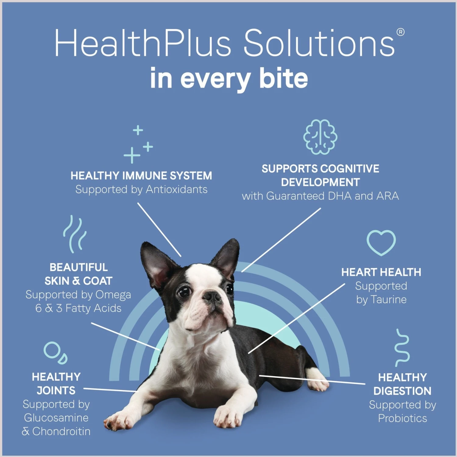 CANIDAE Grain-Free PURE Petite Salmon Formula Small Breed Puppy Limited Ingredient Freeze-Dried Raw Coated Dry Dog Food 8 CANIDAE Grain-Free PURE Petite Salmon Formula Small Breed Puppy Limited Ingredient Freeze-Dried Raw Coated Dry Dog Food - Image 8