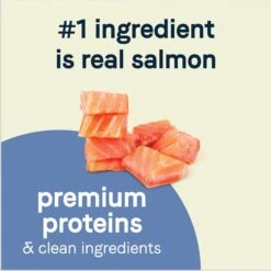 CANIDAE PURE Petite Adult Small Breed Grain-Free With Salmon Dry Dog Food 12 CANIDAE PURE Petite Adult Small Breed Grain-Free With Salmon Dry Dog Food -Pet Wellness 148561 PT3. AC SS1800 V1673463356