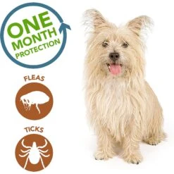 Vet's Best Flea & Tick Spot Treatment For Dogs, Under 15 Lbs -Pet Wellness 150171 PT4. AC SS1800 V1532987832
