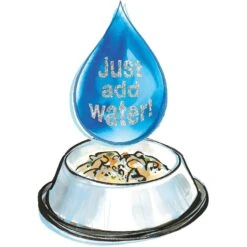 The Honest Kitchen Daily Boosters Turkey Bone Broth With Turmeric For Dogs 11 The Honest Kitchen Daily Boosters Turkey Bone Broth With Turmeric For Dogs -Pet Wellness 150271 PT5. AC SS1800 V1535648929