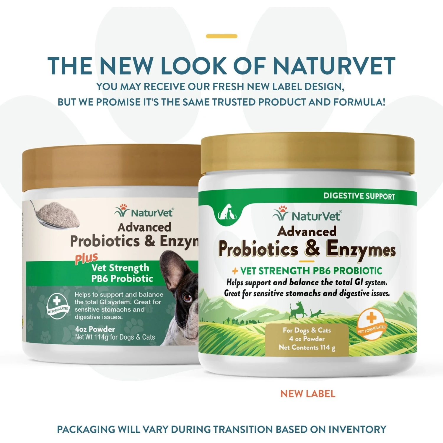 NaturVet Advanced Probiotics & Enzymes Plus Vet Strength PB6 Probiotic Powder Digestive Supplement For Cats & Dogs 2 NaturVet Advanced Probiotics & Enzymes Plus Vet Strength PB6 Probiotic Powder Digestive Supplement For Cats & Dogs - Image 2