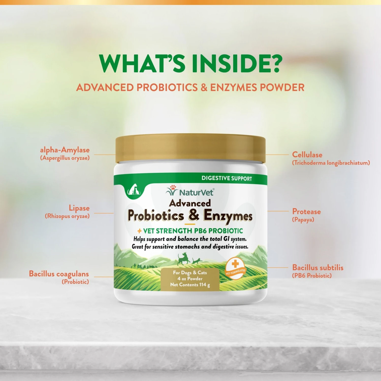 NaturVet Advanced Probiotics & Enzymes Plus Vet Strength PB6 Probiotic Powder Digestive Supplement For Cats & Dogs 5 NaturVet Advanced Probiotics & Enzymes Plus Vet Strength PB6 Probiotic Powder Digestive Supplement For Cats & Dogs - Image 5