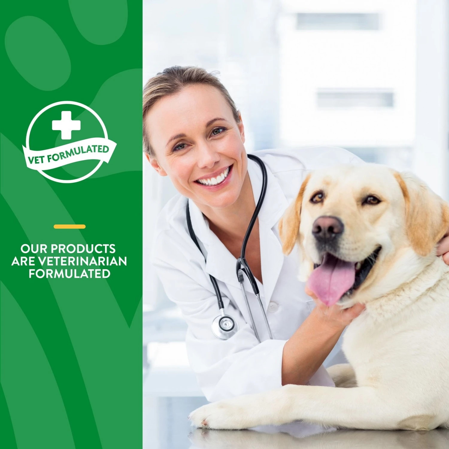 NaturVet Advanced Probiotics & Enzymes Plus Vet Strength PB6 Probiotic Powder Digestive Supplement For Cats & Dogs 6 NaturVet Advanced Probiotics & Enzymes Plus Vet Strength PB6 Probiotic Powder Digestive Supplement For Cats & Dogs - Image 6