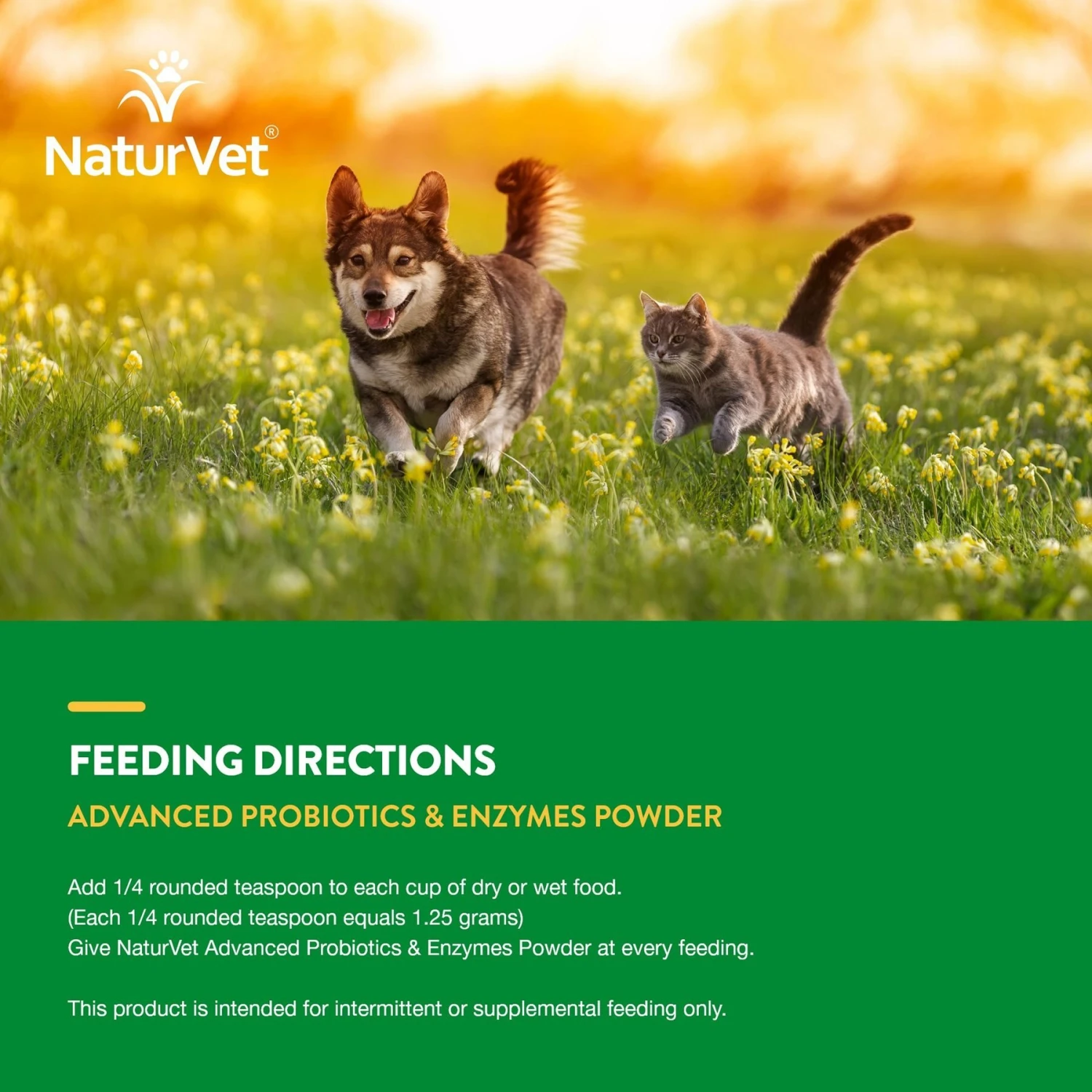 NaturVet Advanced Probiotics & Enzymes Plus Vet Strength PB6 Probiotic Powder Digestive Supplement For Cats & Dogs 7 NaturVet Advanced Probiotics & Enzymes Plus Vet Strength PB6 Probiotic Powder Digestive Supplement For Cats & Dogs - Image 7