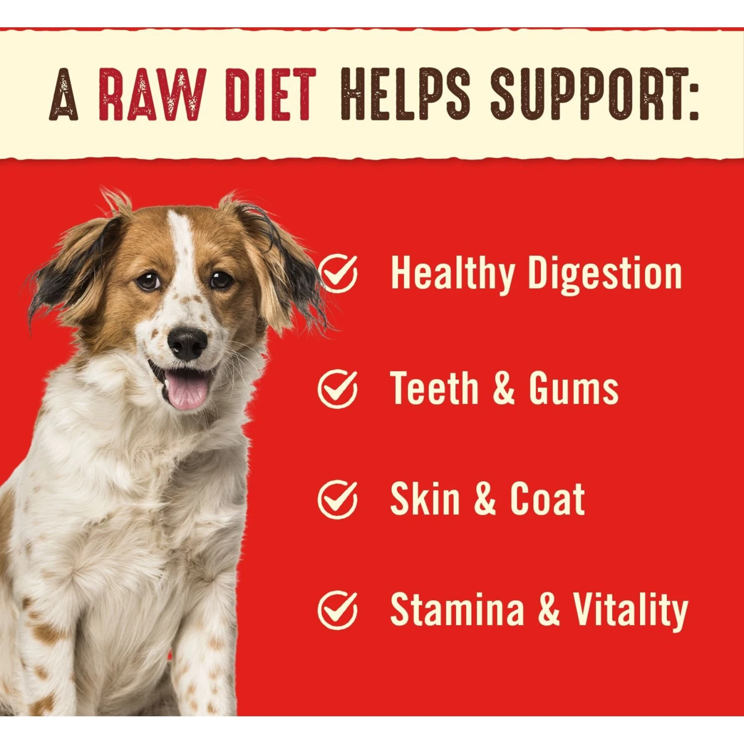 Stella & Chewy's Remarkable Red Meat Recipe Dinner Patties Freeze-Dried Raw Dog Food 4 Stella & Chewy's Remarkable Red Meat Recipe Dinner Patties Freeze-Dried Raw Dog Food - Image 4