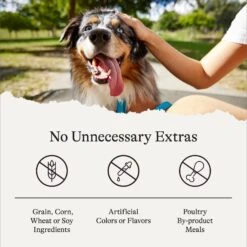 American Journey Chicken Recipe Grain-Free Soft & Chewy Training Bits Dog Treats 15 American Journey Chicken Recipe Grain-Free Soft & Chewy Training Bits Dog Treats -Pet Wellness 151156 PT7. AC SS1800 V1567707467