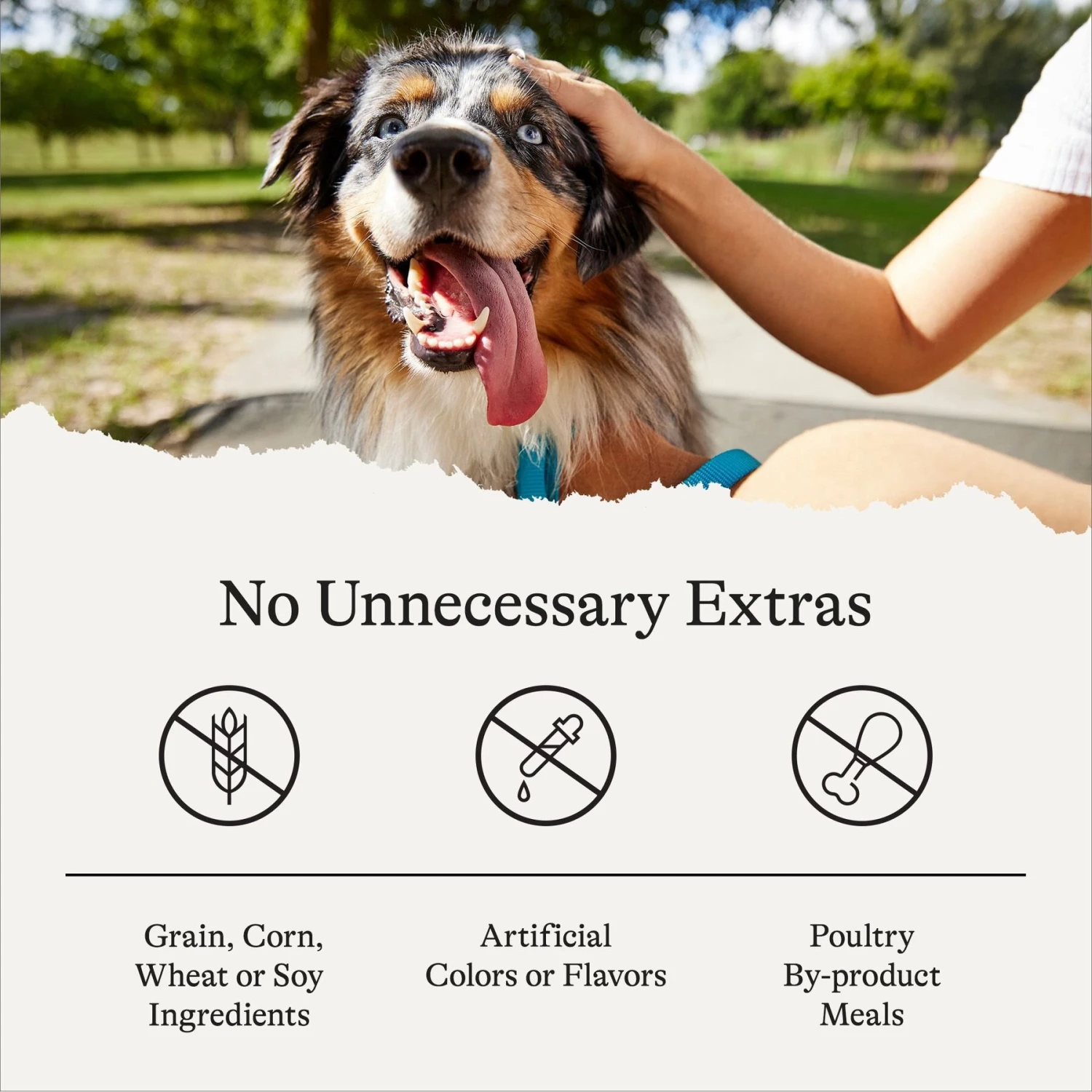 American Journey Chicken Recipe Grain-Free Soft & Chewy Training Bits Dog Treats 8 American Journey Chicken Recipe Grain-Free Soft & Chewy Training Bits Dog Treats - Image 8