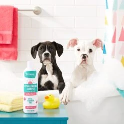 Frisco Hypoallergenic Puppy & Kitten Shampoo, Unscented -Pet Wellness 152571 PT2. AC SS1800 V1551302781