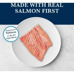 Blue Buffalo Natural Veterinary Diet HF Hydrolyzed For Food Intolerance Grain-Free Wet Dog Food -Pet Wellness 152874 PT3. AC SS1800 V1695083931