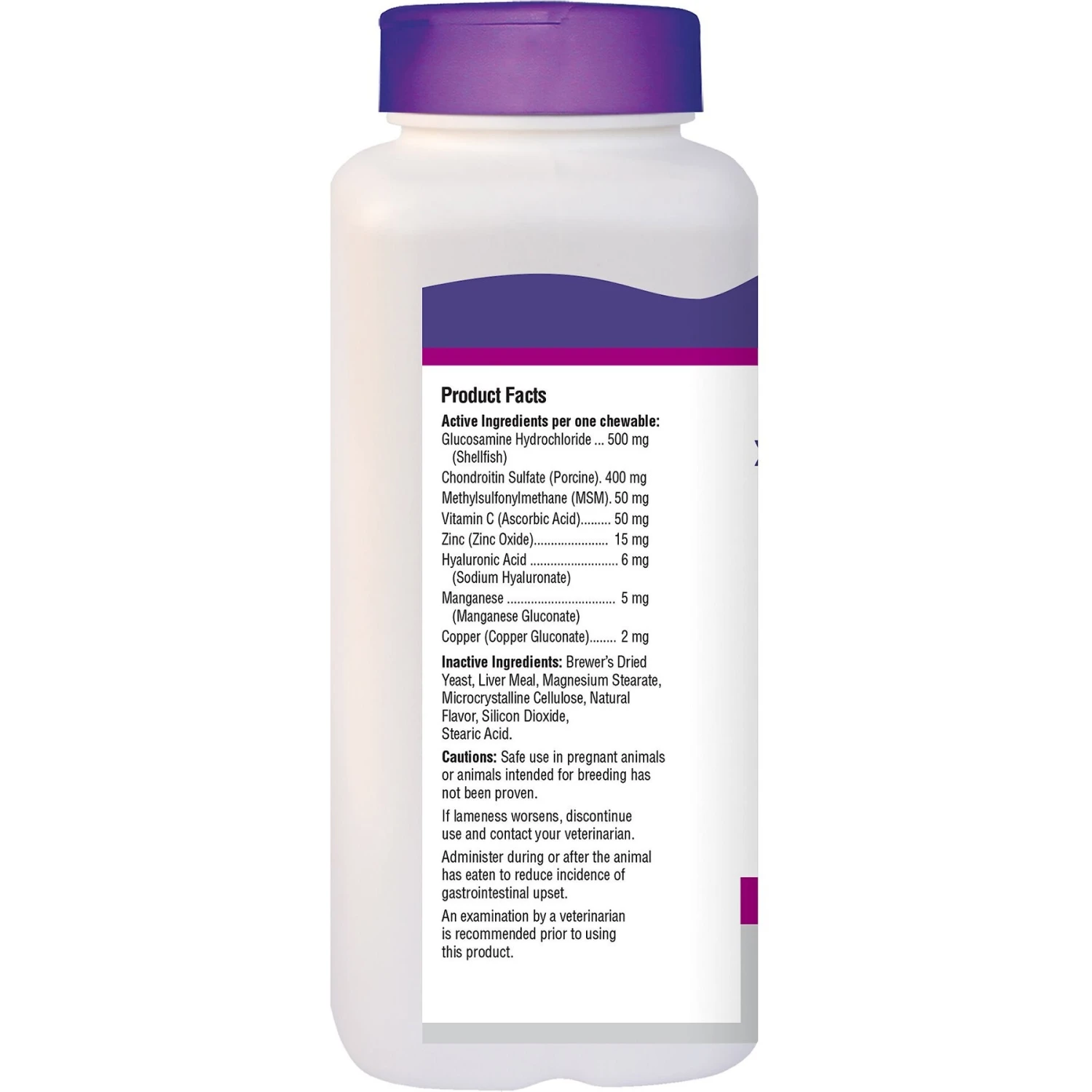 21st Century Essential Pet Adult Hip & Joint Savory Flavor Chewable Supplement For Dogs 2 21st Century Essential Pet Adult Hip & Joint Savory Flavor Chewable Supplement For Dogs - Image 2