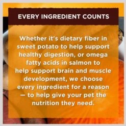 Nature's Recipe Chicken & Lamb Recipe In Savory Broth Grain-Free Wet Dog Food -Pet Wellness 154681 PT4. AC SS1800 V1676298754