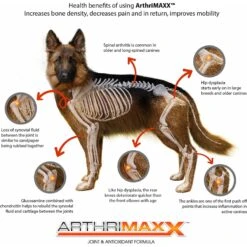 Animal Nutritional Products ArthriMAXX Premium Dog Soft Chews Joint Support Supplement -Pet Wellness 154697 PT3. AC SS1800 V1652741185