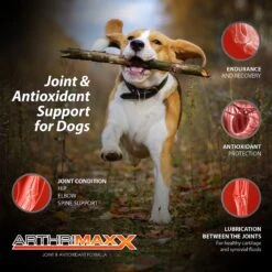 Animal Nutritional Products ArthriMAXX Premium Dog Soft Chews Joint Support Supplement -Pet Wellness 154697 PT5. AC SS1800 V1652774504