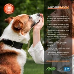 Animal Nutritional Products ArthriMAXX Premium Dog Soft Chews Joint Support Supplement -Pet Wellness 154697 PT8. AC SS1800 V1657655679