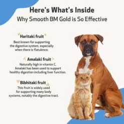 Pet Wellbeing Smooth BM GOLD Bacon Flavored Liquid Digestive Supplement For Cats & Dogs 14 Pet Wellbeing Smooth BM GOLD Bacon Flavored Liquid Digestive Supplement For Cats & Dogs -Pet Wellness 154759 PT5. AC SS1800 V1695306525
