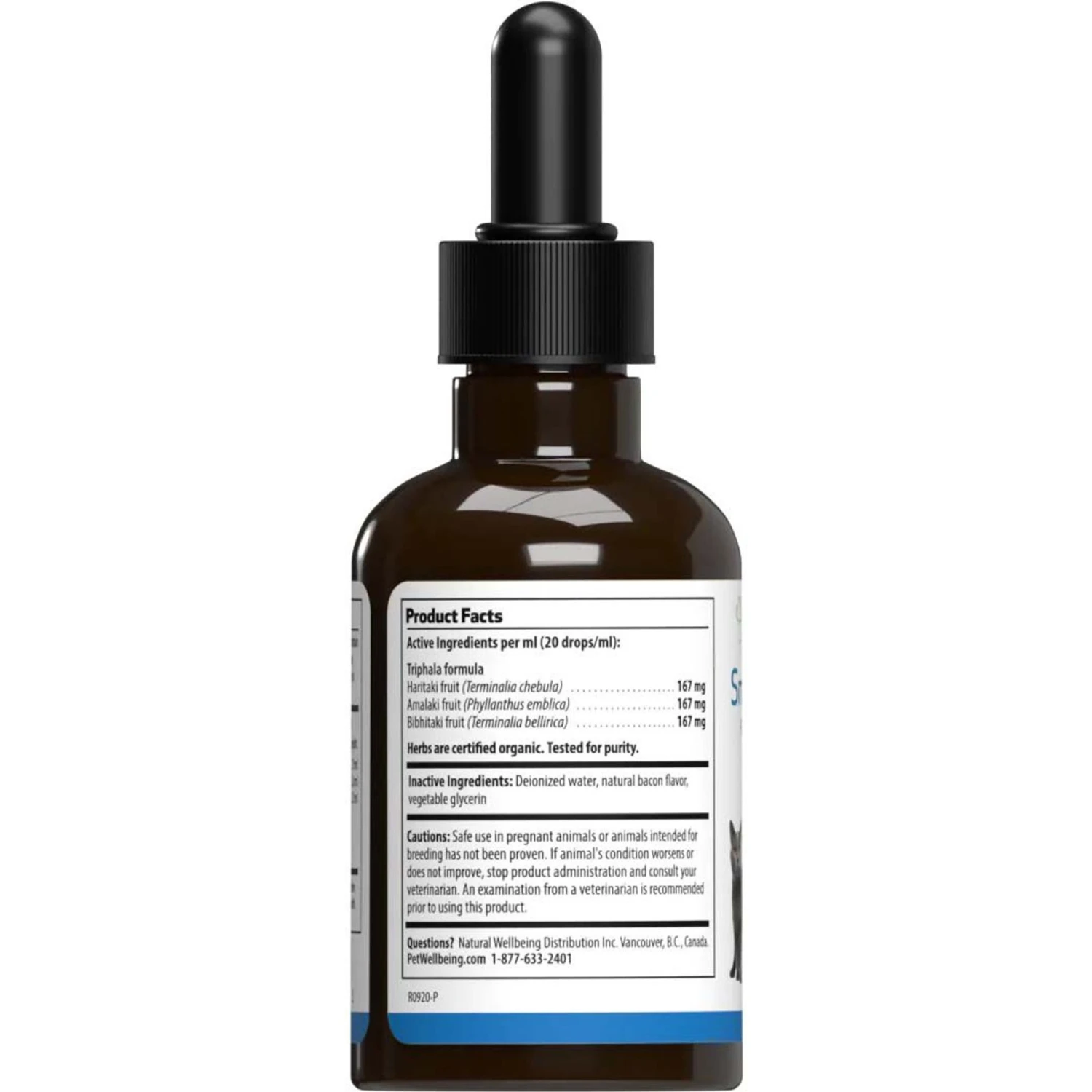 Pet Wellbeing Smooth BM GOLD Bacon Flavored Liquid Digestive Supplement For Cats & Dogs 8 Pet Wellbeing Smooth BM GOLD Bacon Flavored Liquid Digestive Supplement For Cats & Dogs - Image 8