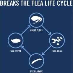 PetArmor Plus Flea & Tick Spot Treatment For Dogs, 5-22 Lbs, -Pet Wellness 154770 PT4. AC SS1800 V1701361432