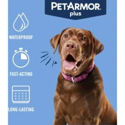 PetArmor Plus Flea & Tick Spot Treatment For Dogs, 45-88 Lbs -Pet Wellness 154772 PT2. AC SS1800 V1701361432