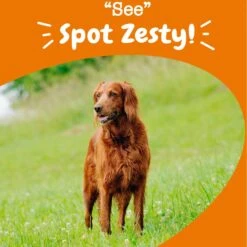 Zesty Paws Advanced Vision Bites Chicken Flavored Soft Chews Vision Supplement For Senior Dogs -Pet Wellness 154820 PT3. AC SS1800 V1703623563
