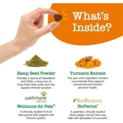 Zesty Paws Hemp Elements Aller-Immune Bites Cheese Flavored Soft Chews Allergy & Immune Supplement For Dogs -Pet Wellness 154822 PT2. AC SS1800 V1698787419