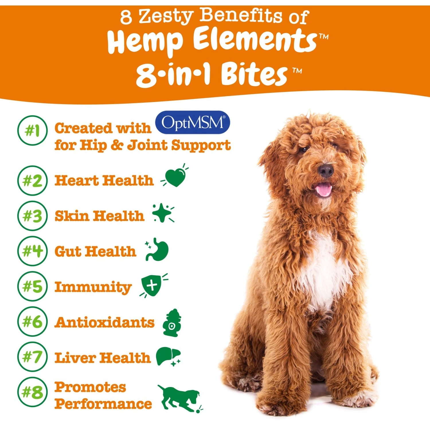Zesty Paws Hemp Elements 8-in-1 Bites Chicken Flavored Soft Chews Multivitamin For Dogs 2 Zesty Paws Hemp Elements 8-in-1 Bites Chicken Flavored Soft Chews Multivitamin For Dogs - Image 2