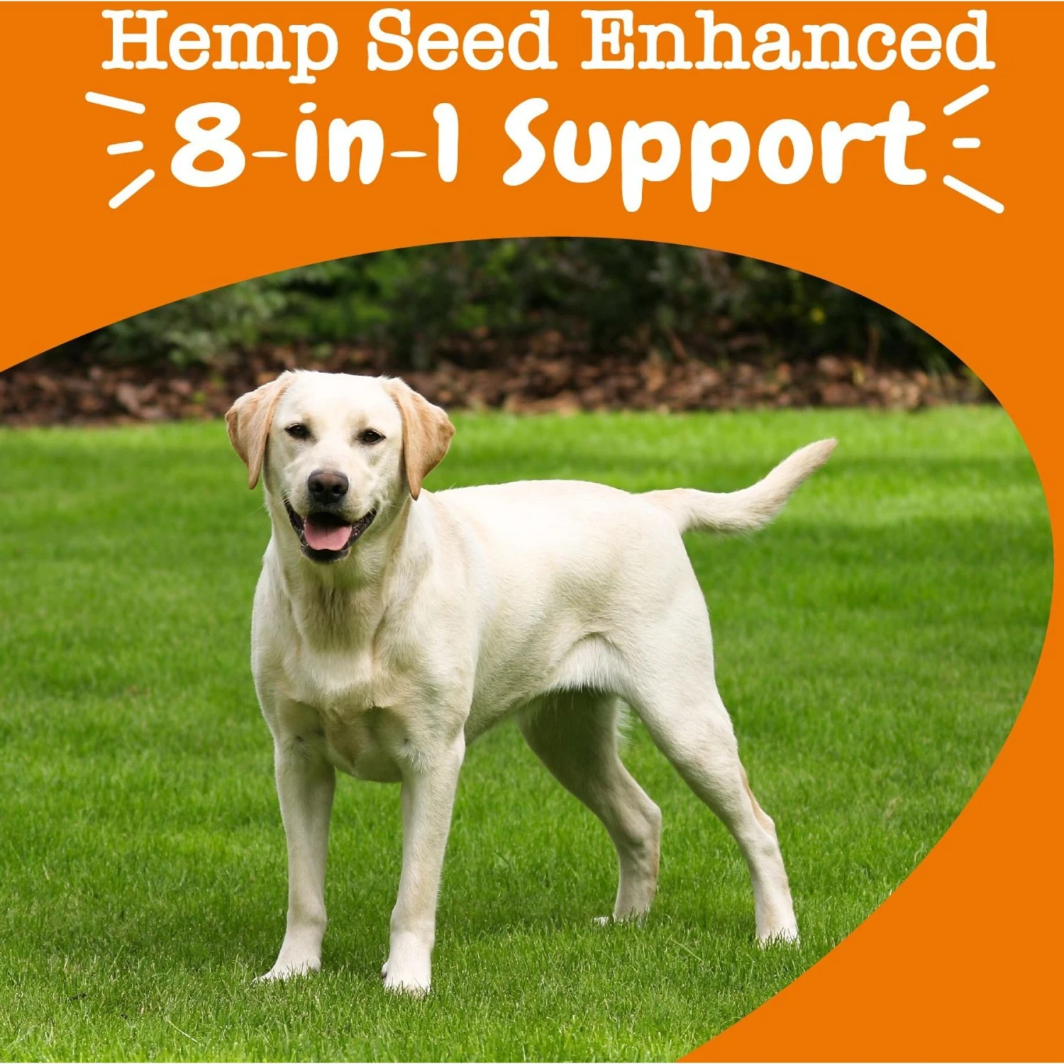 Zesty Paws Hemp Elements 8-in-1 Bites Chicken Flavored Soft Chews Multivitamin For Dogs 4 Zesty Paws Hemp Elements 8-in-1 Bites Chicken Flavored Soft Chews Multivitamin For Dogs - Image 4