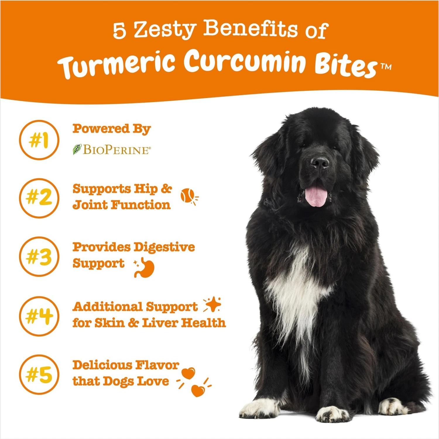 Zesty Paws Turmeric Curcumin Bites Bacon Flavored Soft Chews Multivitamin For Dogs 2 Zesty Paws Turmeric Curcumin Bites Bacon Flavored Soft Chews Multivitamin For Dogs - Image 2