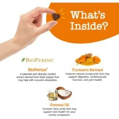 Zesty Paws Turmeric Curcumin Bites Bacon Flavored Soft Chews Multivitamin For Dogs 11 Zesty Paws Turmeric Curcumin Bites Bacon Flavored Soft Chews Multivitamin For Dogs -Pet Wellness 154830 PT2. AC SS1800 V1696432958