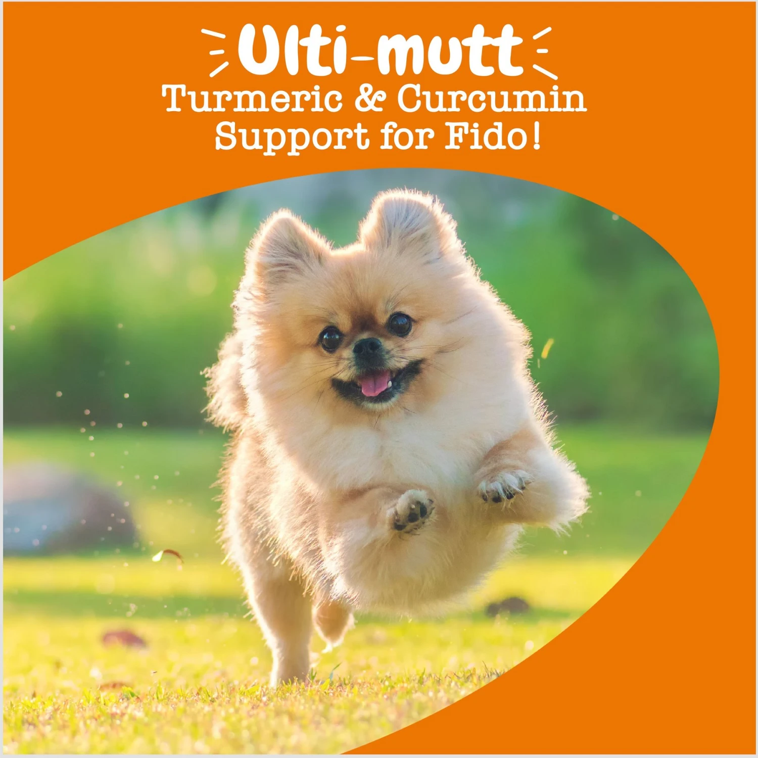 Zesty Paws Turmeric Curcumin Bites Bacon Flavored Soft Chews Multivitamin For Dogs 4 Zesty Paws Turmeric Curcumin Bites Bacon Flavored Soft Chews Multivitamin For Dogs - Image 4