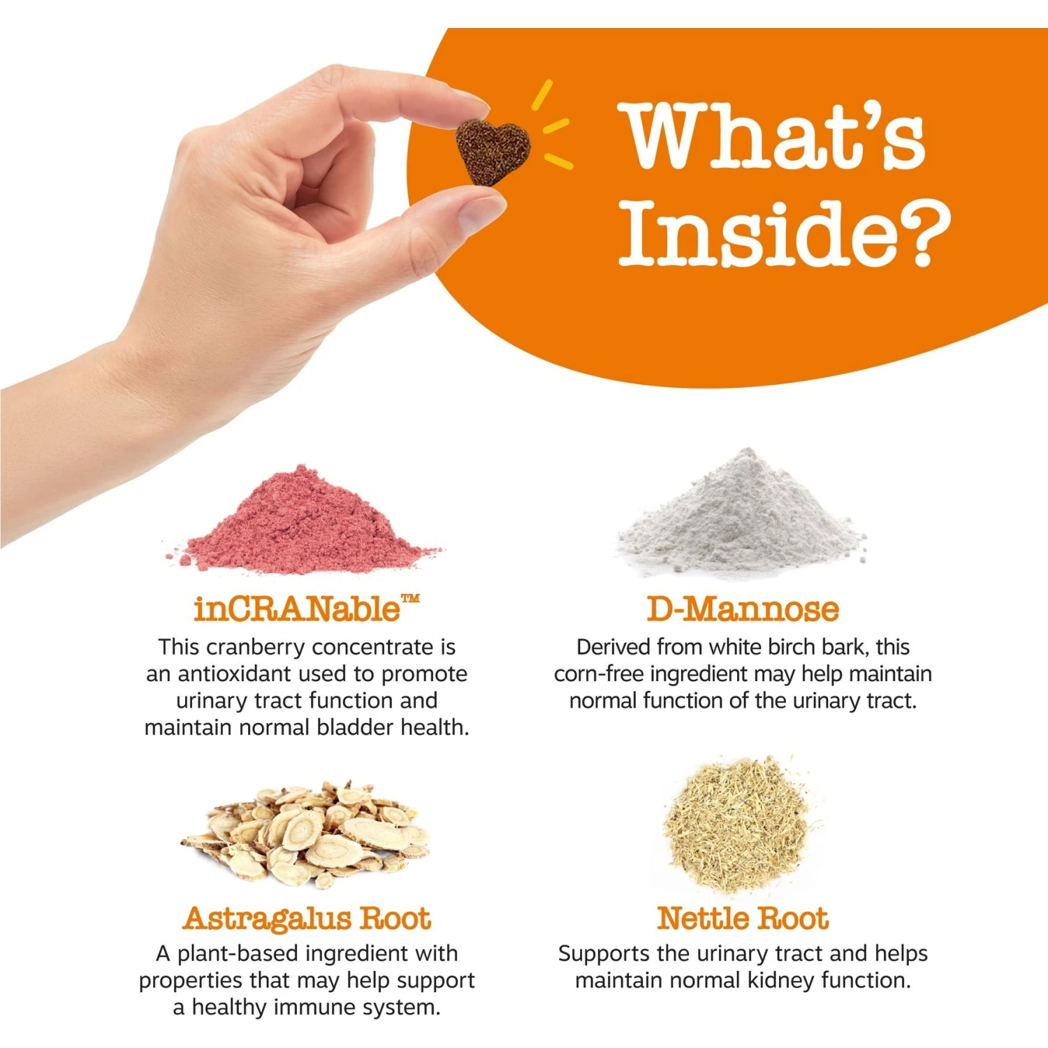 Zesty Paws Urinary Tract Bites Bacon Flavored Soft Chews Cranberry Bladder Kidney Supplement For Dogs 4 Zesty Paws Urinary Tract Bites Bacon Flavored Soft Chews Cranberry Bladder Kidney Supplement For Dogs - Image 4