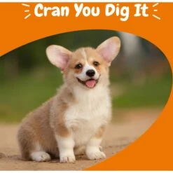 Zesty Paws Urinary Tract Bites Bacon Flavored Soft Chews Cranberry Bladder Kidney Supplement For Dogs 13 Zesty Paws Urinary Tract Bites Bacon Flavored Soft Chews Cranberry Bladder Kidney Supplement For Dogs -Pet Wellness 154832 PT4. AC SS1800 V1699634654