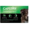 Capstar Flea Oral Treatment For Dogs, Over 25 Lbs