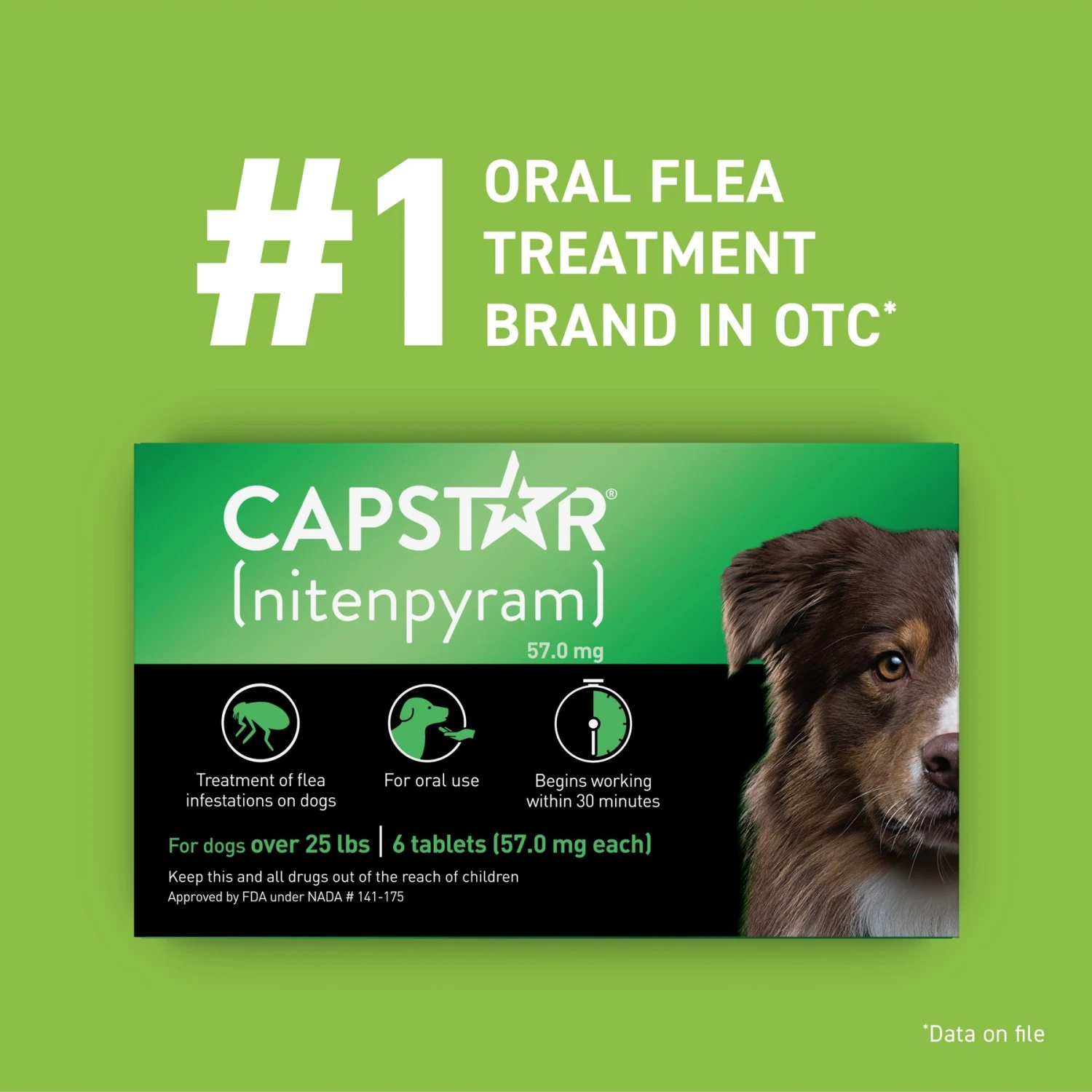 Capstar Flea Oral Treatment For Dogs, Over 25 Lbs 4 Capstar Flea Oral Treatment For Dogs, Over 25 Lbs - Image 4