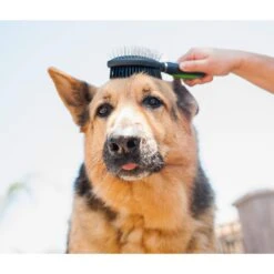 Pet Magasin Professional Grooming Set, Pack Of 3 -Pet Wellness 155275 PT2. AC SS1800 V1542394333