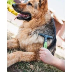 Pet Magasin Professional Grooming Set, Pack Of 3 -Pet Wellness 155275 PT4. AC SS1800 V1542394314