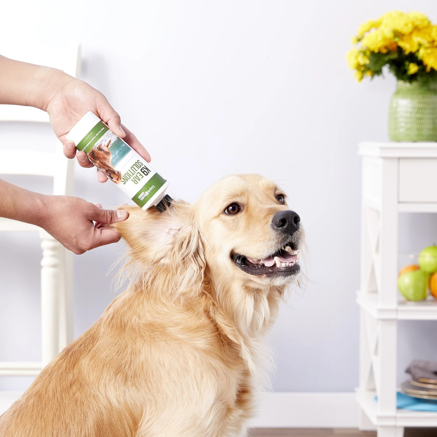 Liquid Health Pets K9 Ear Solutions Dog Ear Cleaner 5 Liquid Health Pets K9 Ear Solutions Dog Ear Cleaner - Image 5